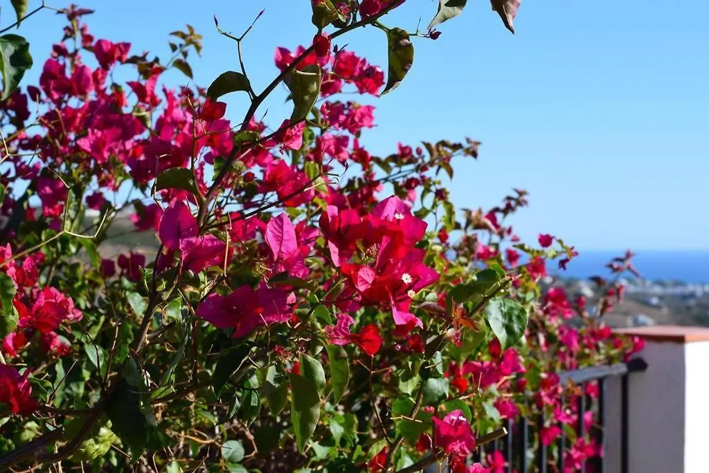 Daire El Quinto Pino, Frigiliana Luxury Country Villa With Pool And Parking Hansonholiday Rentals İspanya