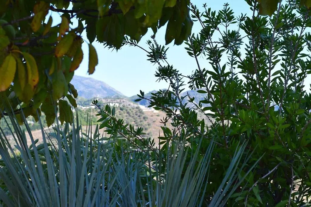 Daire El Quinto Pino, Frigiliana Luxury Country Villa With Pool And Parking Hansonholiday Rentals İspanya